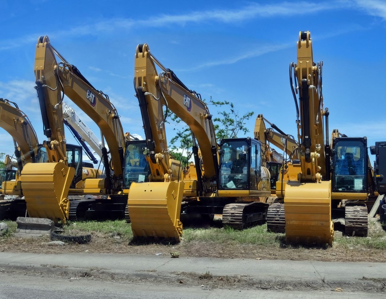 Multiple yellow excavators lined up in an equipment yard under a clear blue sky.